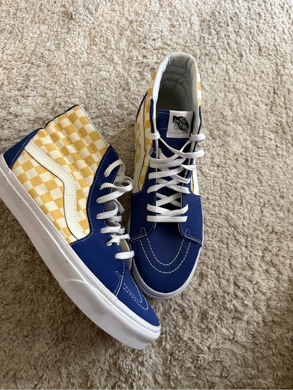 Vans Unique High-Tops with Leather Lining 10.5